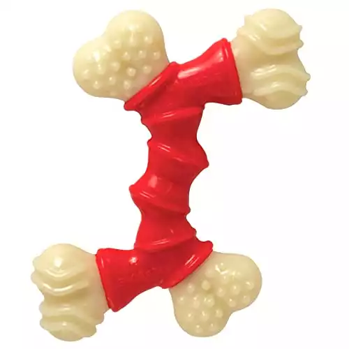 Nylabone Double Bone Power Chew