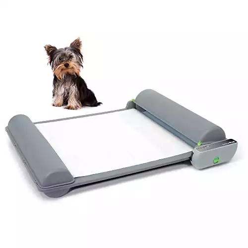 BrilliantPad Self-Cleaning, Automatic Indoor Dog Potty