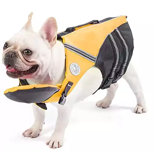 Petglad French Bulldog Life Jacket