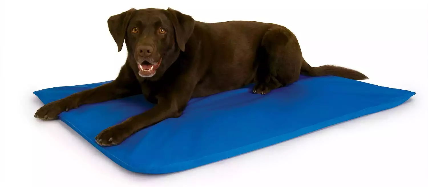 K&H Pet Products Cool Bed III Dog Pad