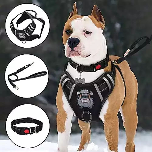 TIANYAO Dog Harness No-Pull Dog Vest Pet Harness