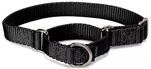 PetSafe Adjustable Martingale Collar