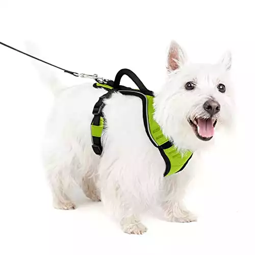 PetSafe EasySport Dog Harness
