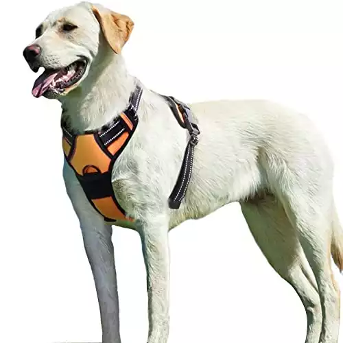 Eagloo Dog Harness