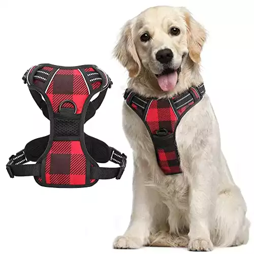 Rabbitgoo No-Pull Dog Harness