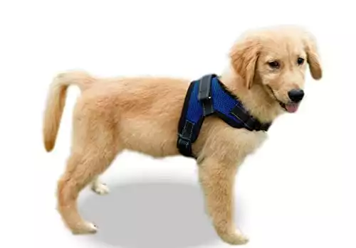Copatchy No-Pull Dog Harness