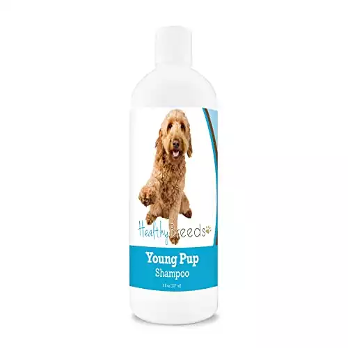 Healthy Breeds Young Pup Shampoo