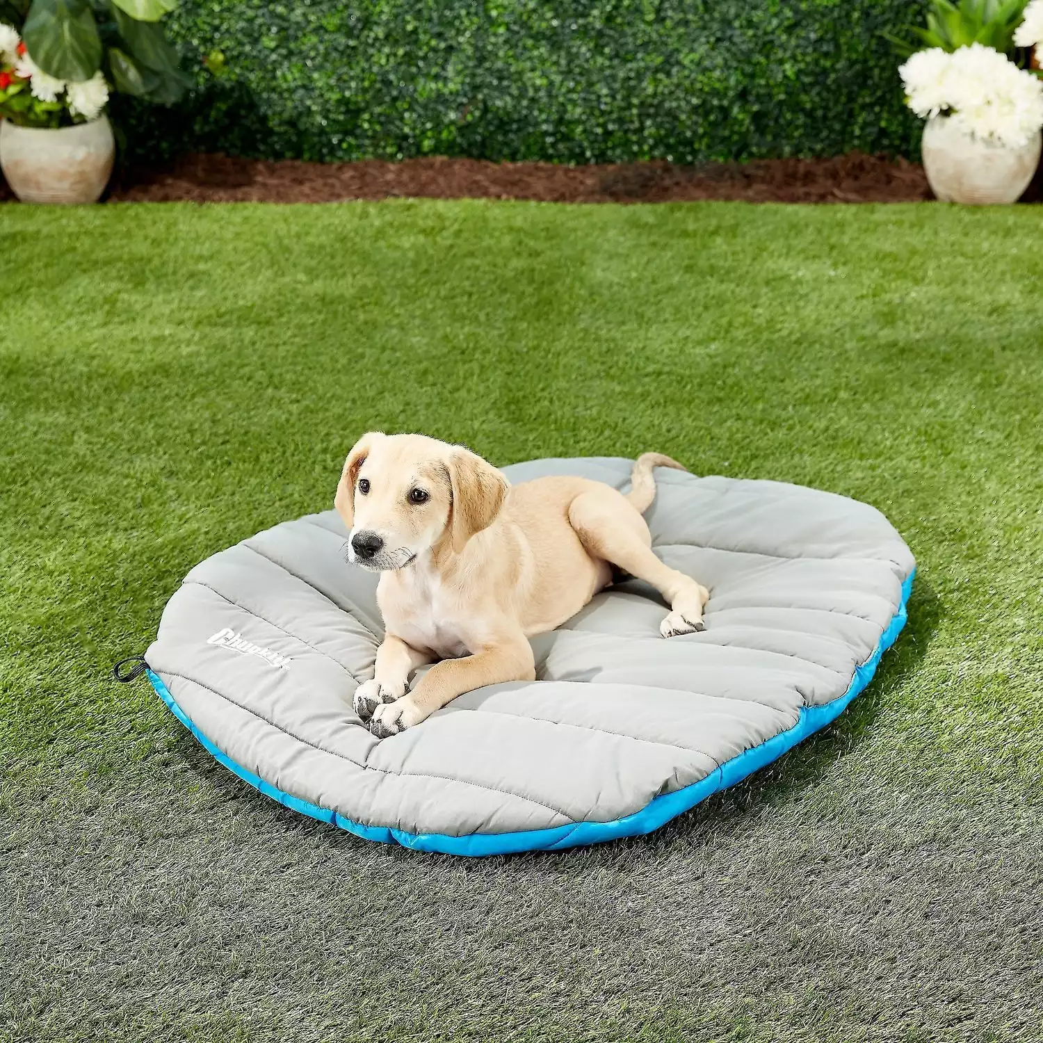 Chuckit! Travel Pillow Dog Bed