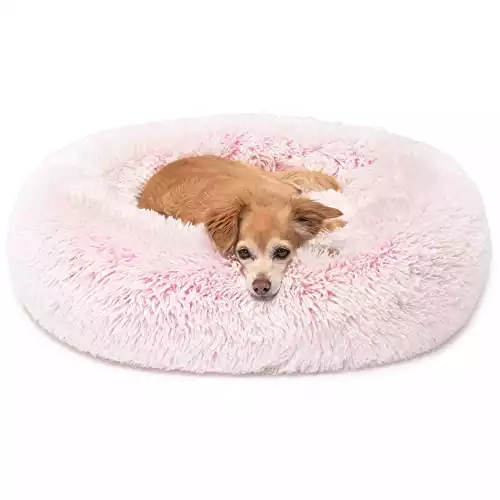 Friends Forever Donut Dog Bed