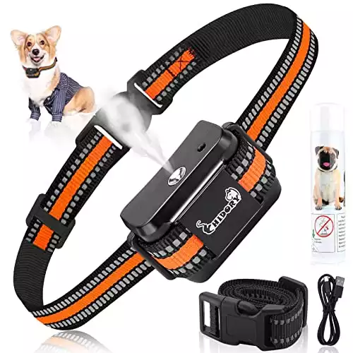 Citronella Bark Collar For Small Dogs