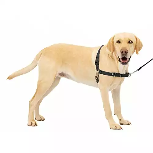 PetSafe Easy Walk Dog Harness - No Pull Dog Harness