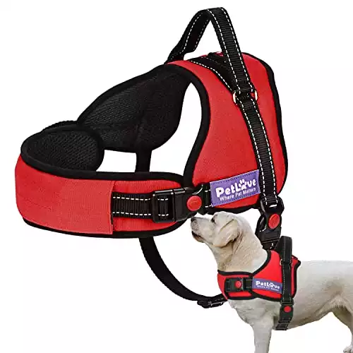 PetLove Dog Harness