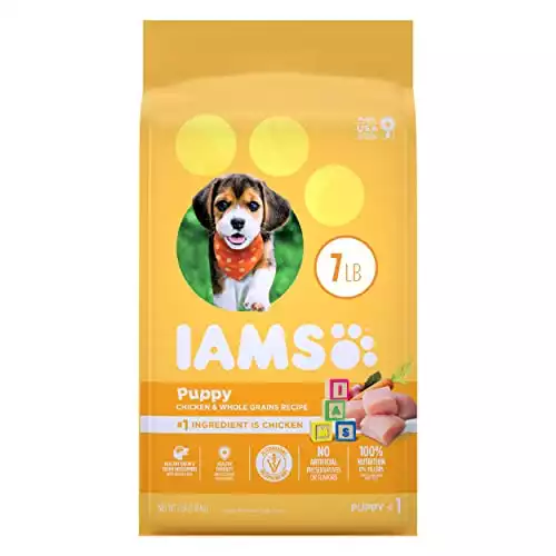 IAMS PROACTIVE HEALTH Smart Puppy Dry Dog Food With Real Chicken