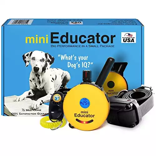Mini Educator Remote Training Collar