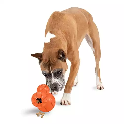 PetSafe Large Sportsmen Barnacle Pet Chew Toy