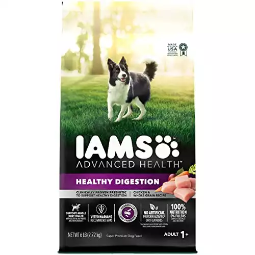 IAMS Advanced Health Adult Healthy Digestion Dry Dog Food