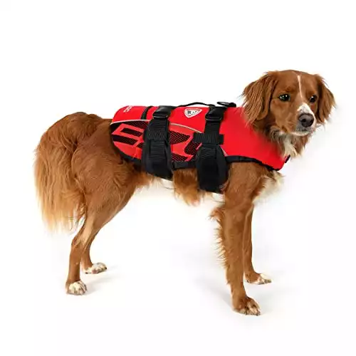 EzyDog Premium Doggy Flotation Device (DFD)