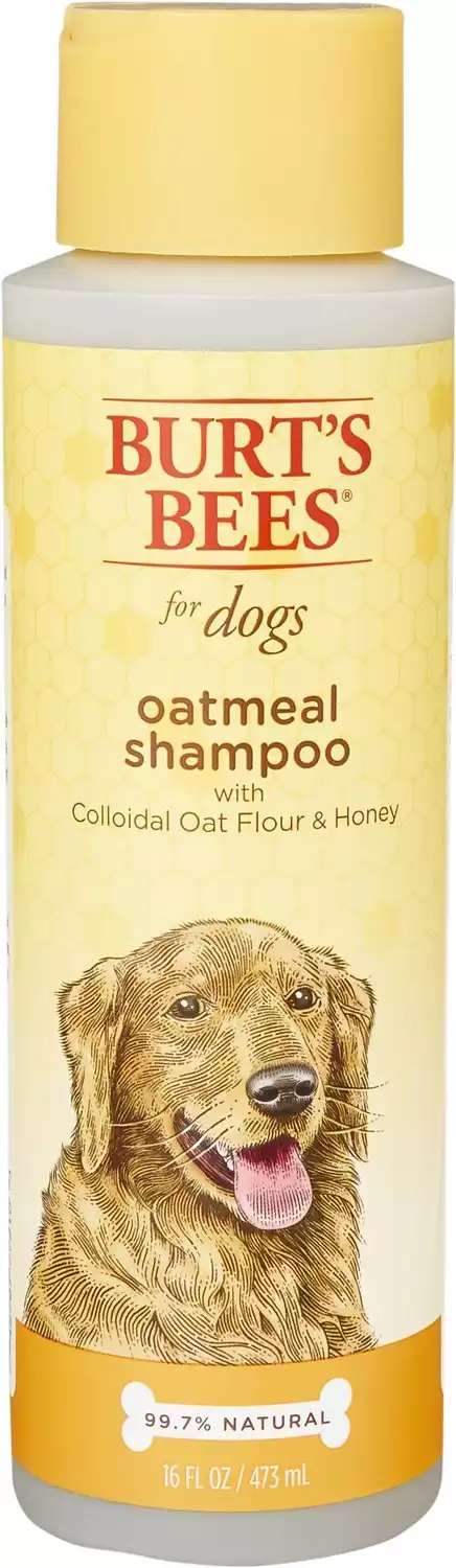 Burt's Bees Oatmeal Dog Shampoo