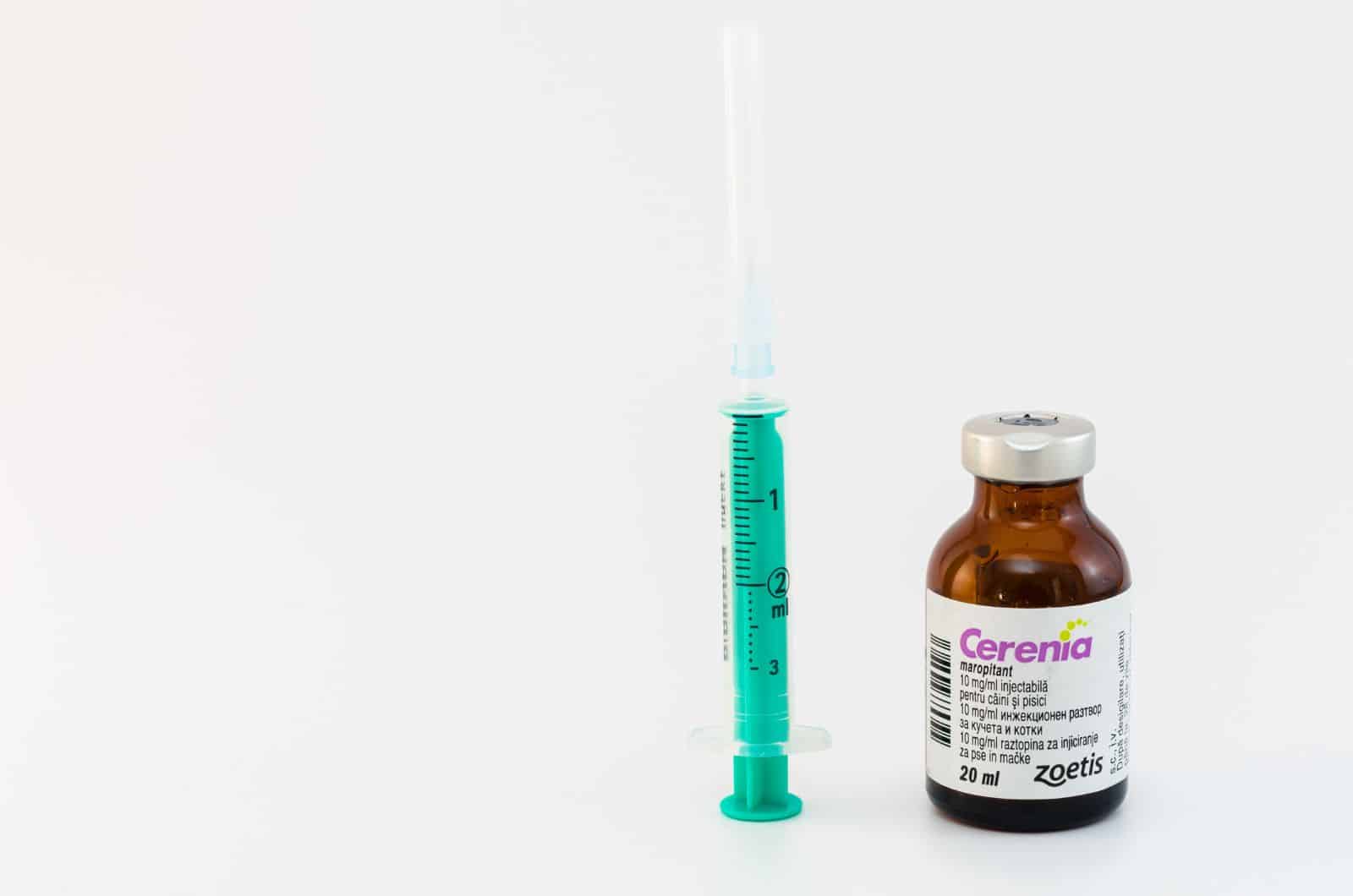 Help, Cerenia Killed My Dog Shedding Light On The Matter