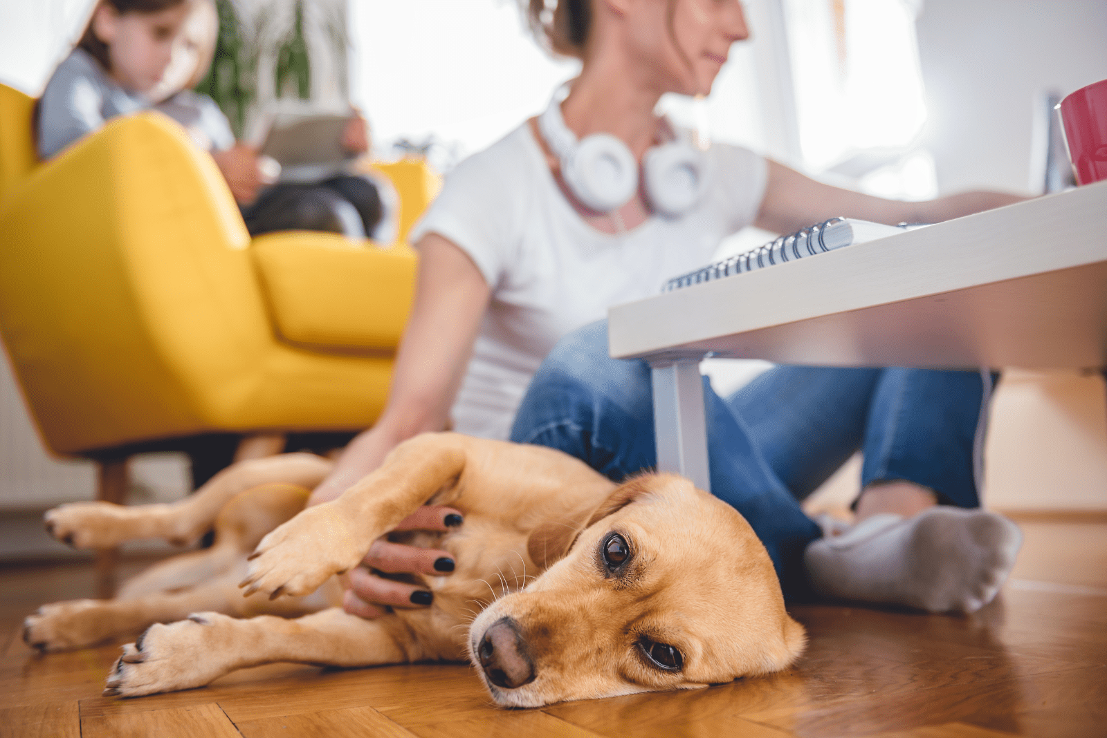 a woman caresses a dog lying on the floor