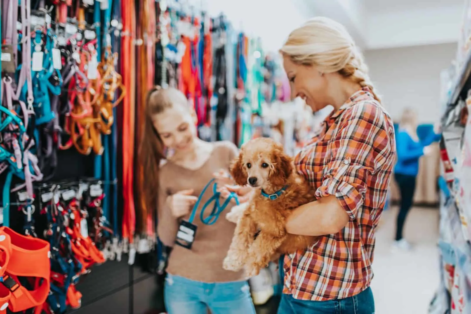 Mother and daughter with their poodle puppy in pet shop