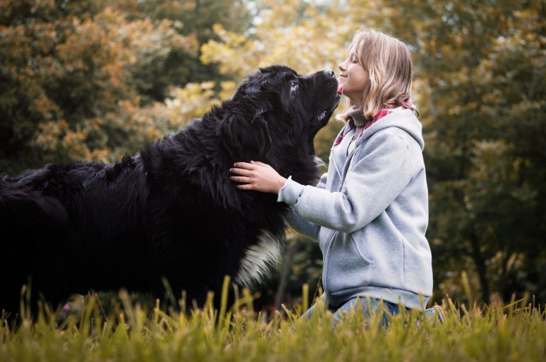 young girl with a newfoundland dog
