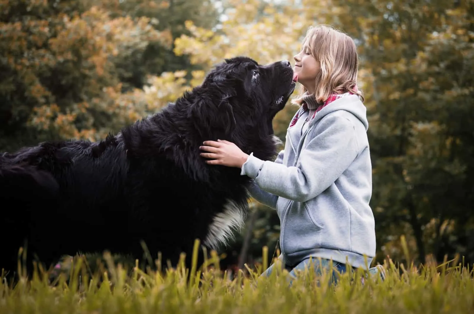 young girl with a newfoundland dog