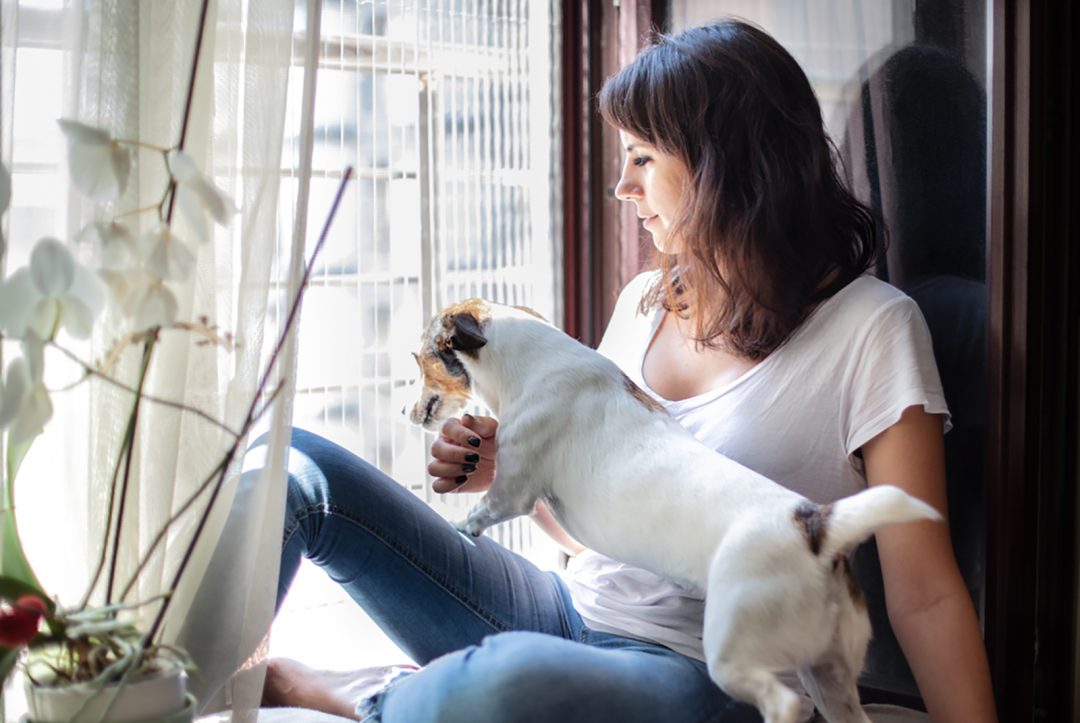 Why Does My Dog Stand On Me 10 Possible Reasons