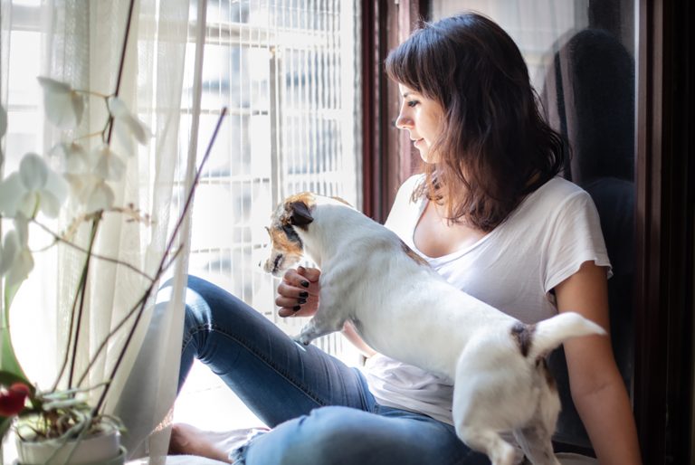 small dog standing on his owner near the window