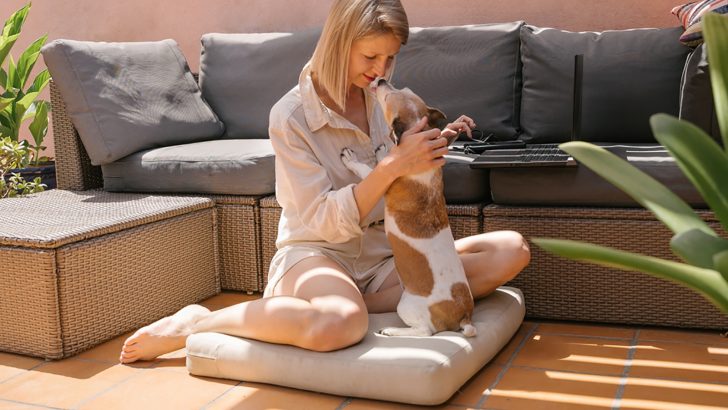 Why Does My Jack Russell Follow Me Everywhere? 6 Reasons