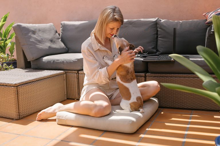 woman petting and hugging small dog russell jack terrier
