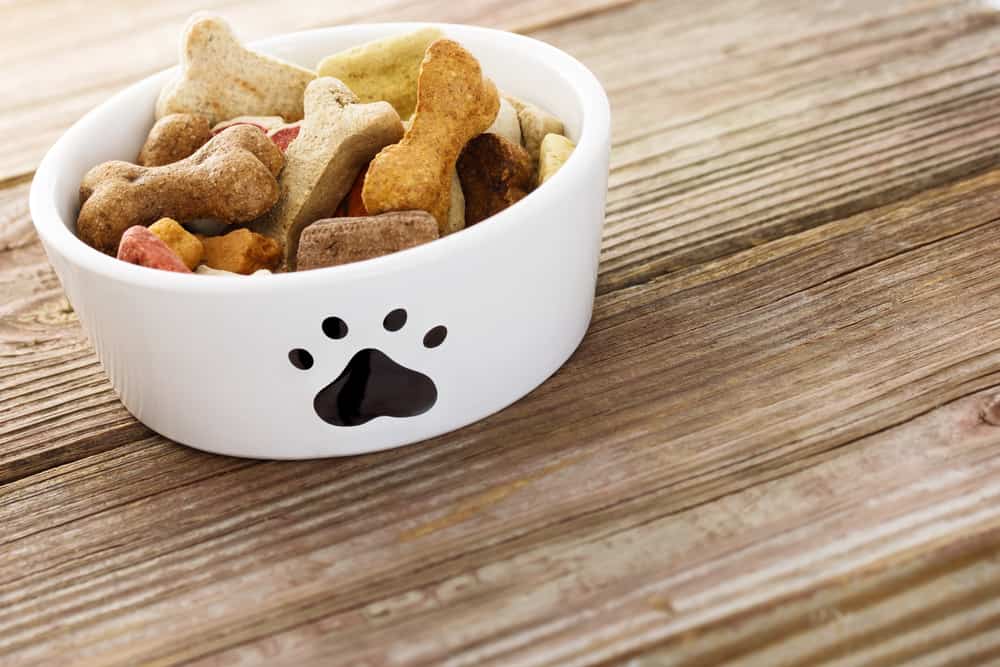 bowl with dog food on wooden table