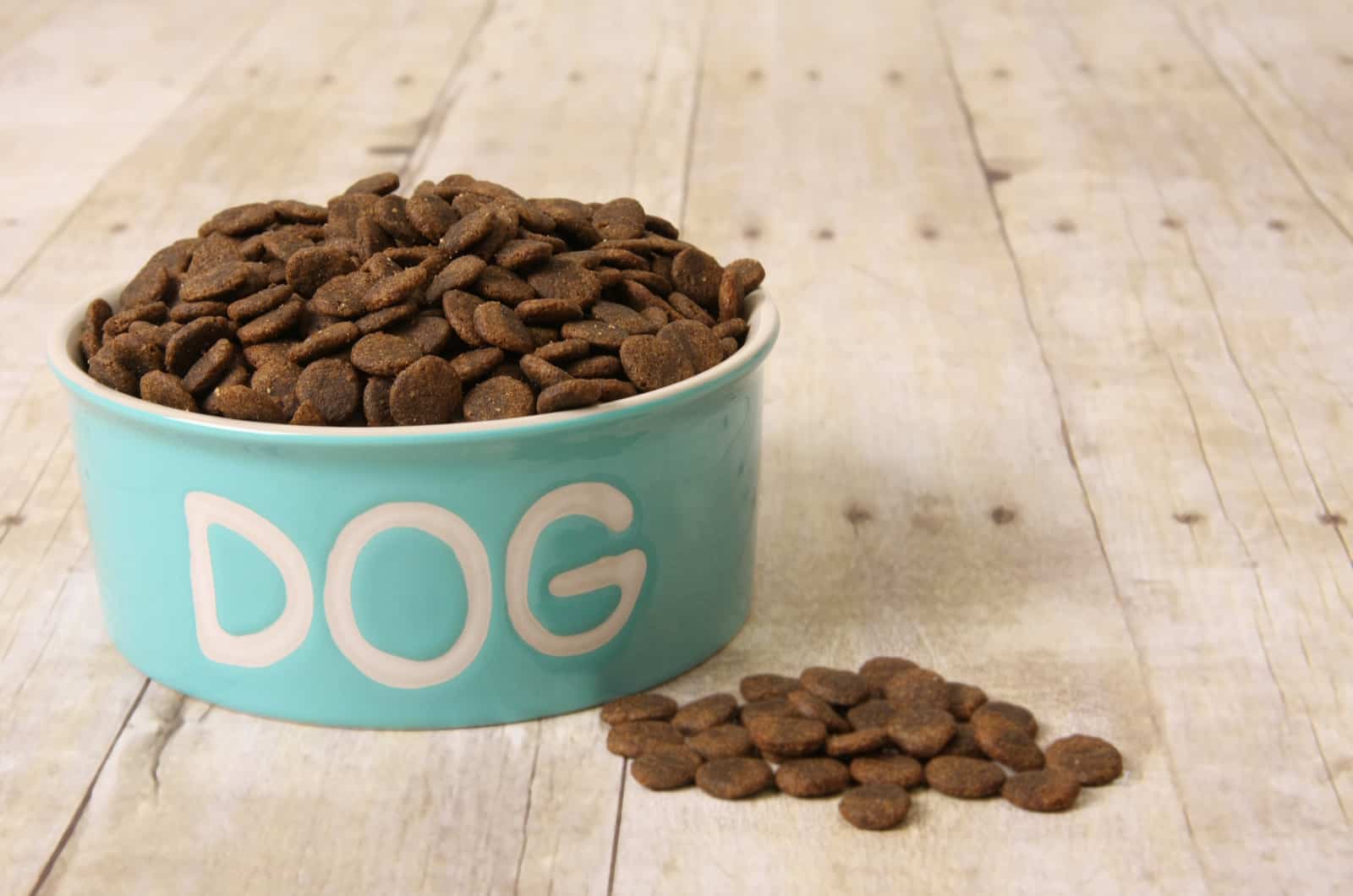 dog food in a bowl