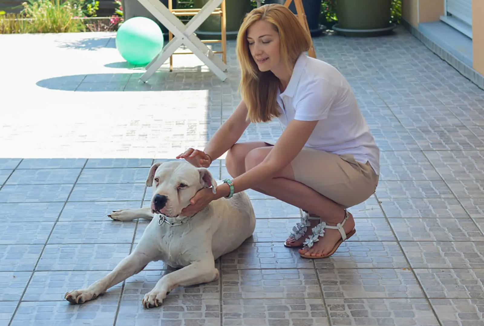girl hugging her dogo argentino outdoors