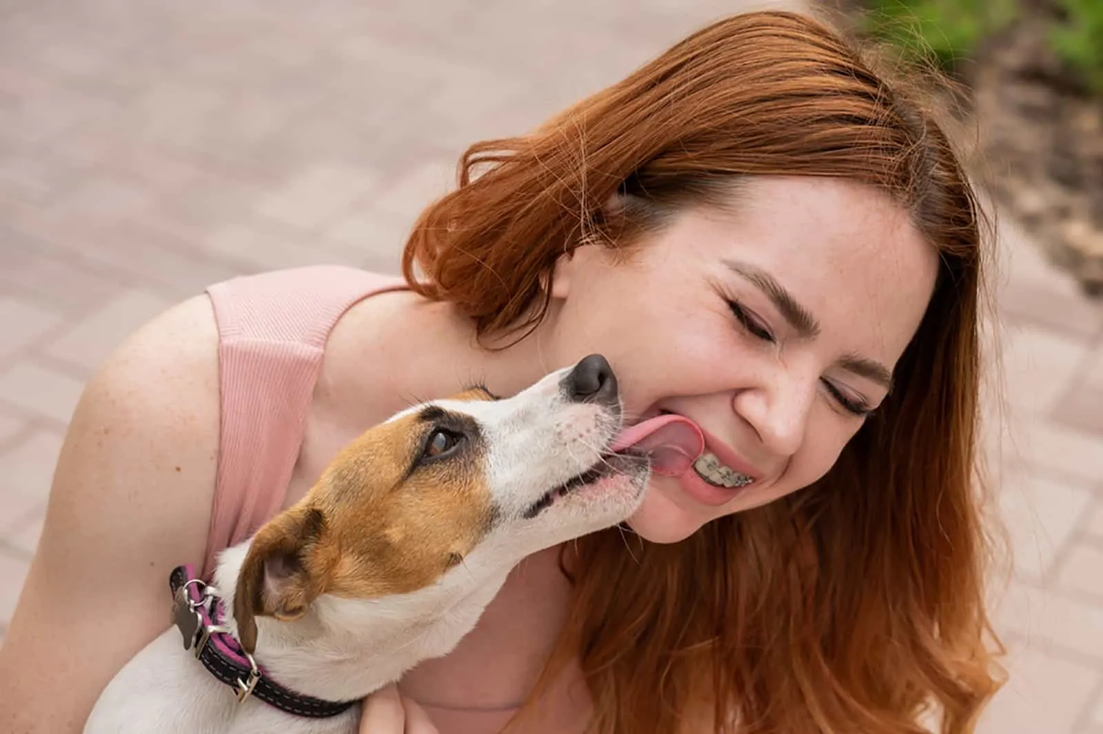 jack russell terrier licks his owner in the face