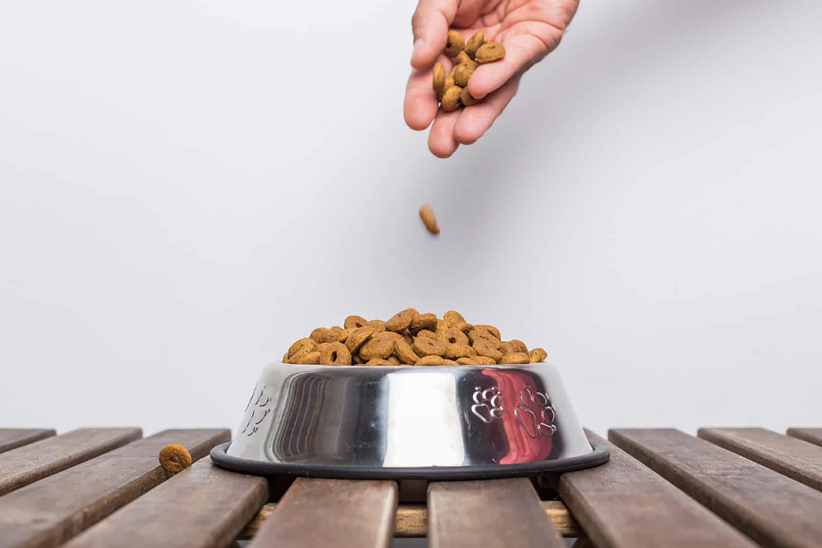 man pouring dog food into a silver bowl on the floor