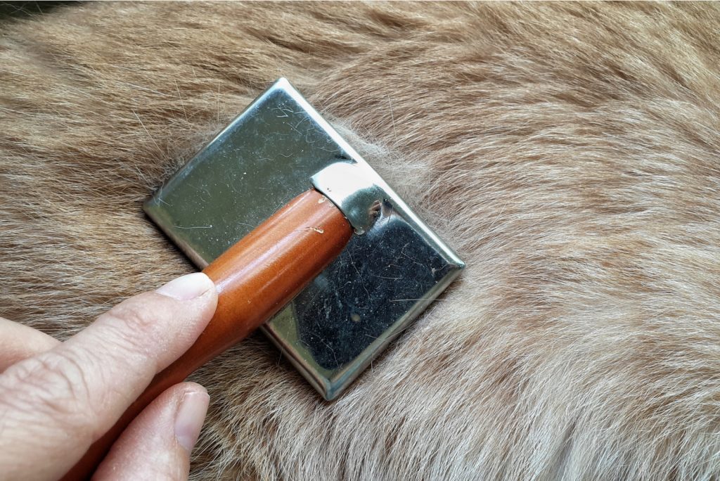 owner's hand brushing dog's coat with a grooming brush