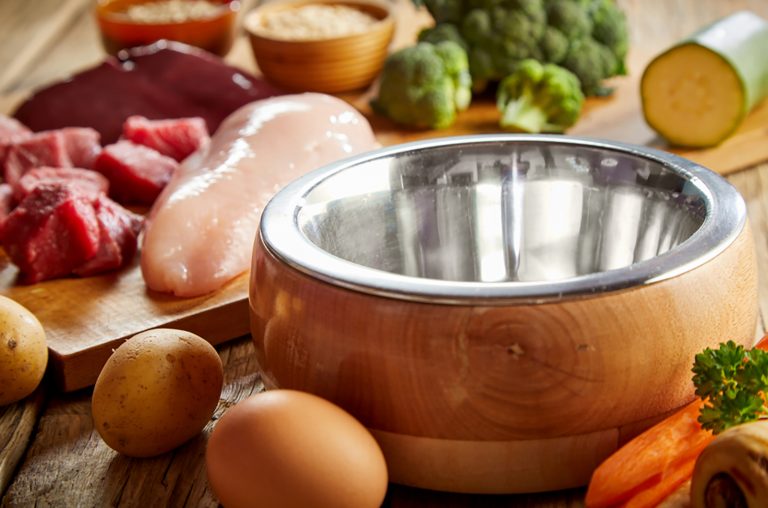 American Bully Raw Diet — Is It Good Or Bad?