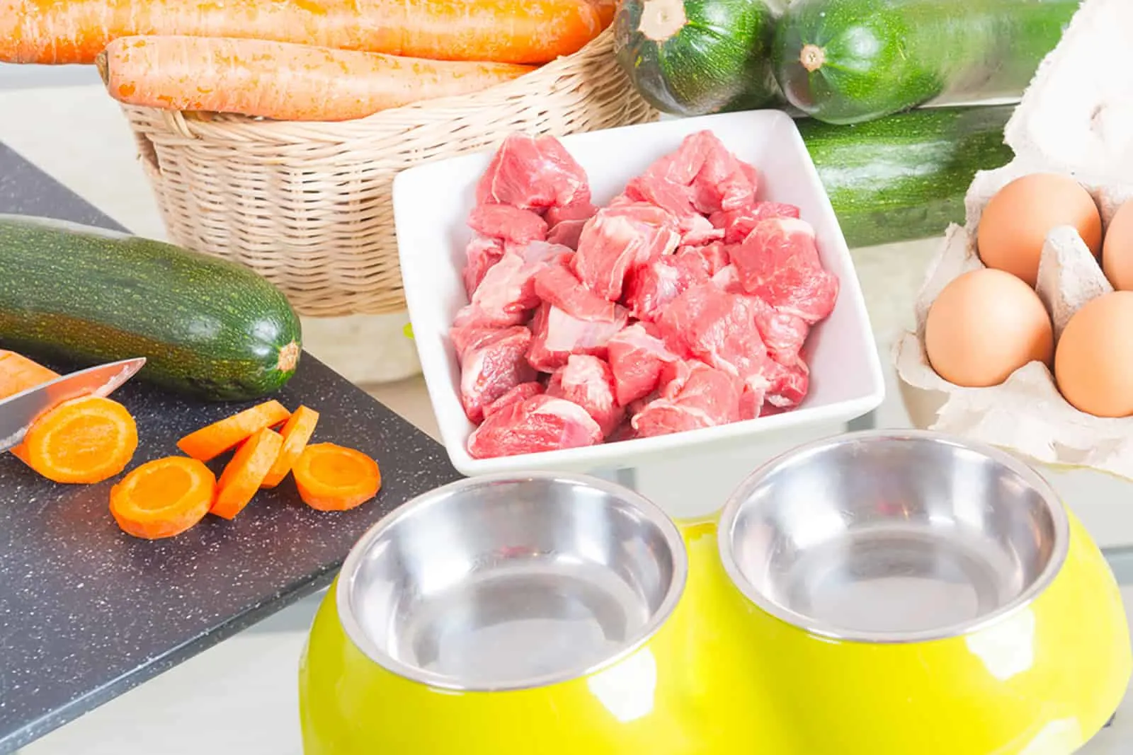 raw healthy dog food and empty bowl