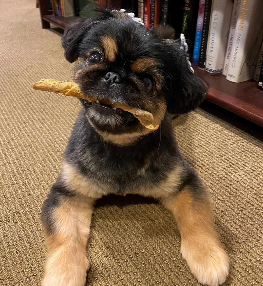 shinese holding bread stick in mouth