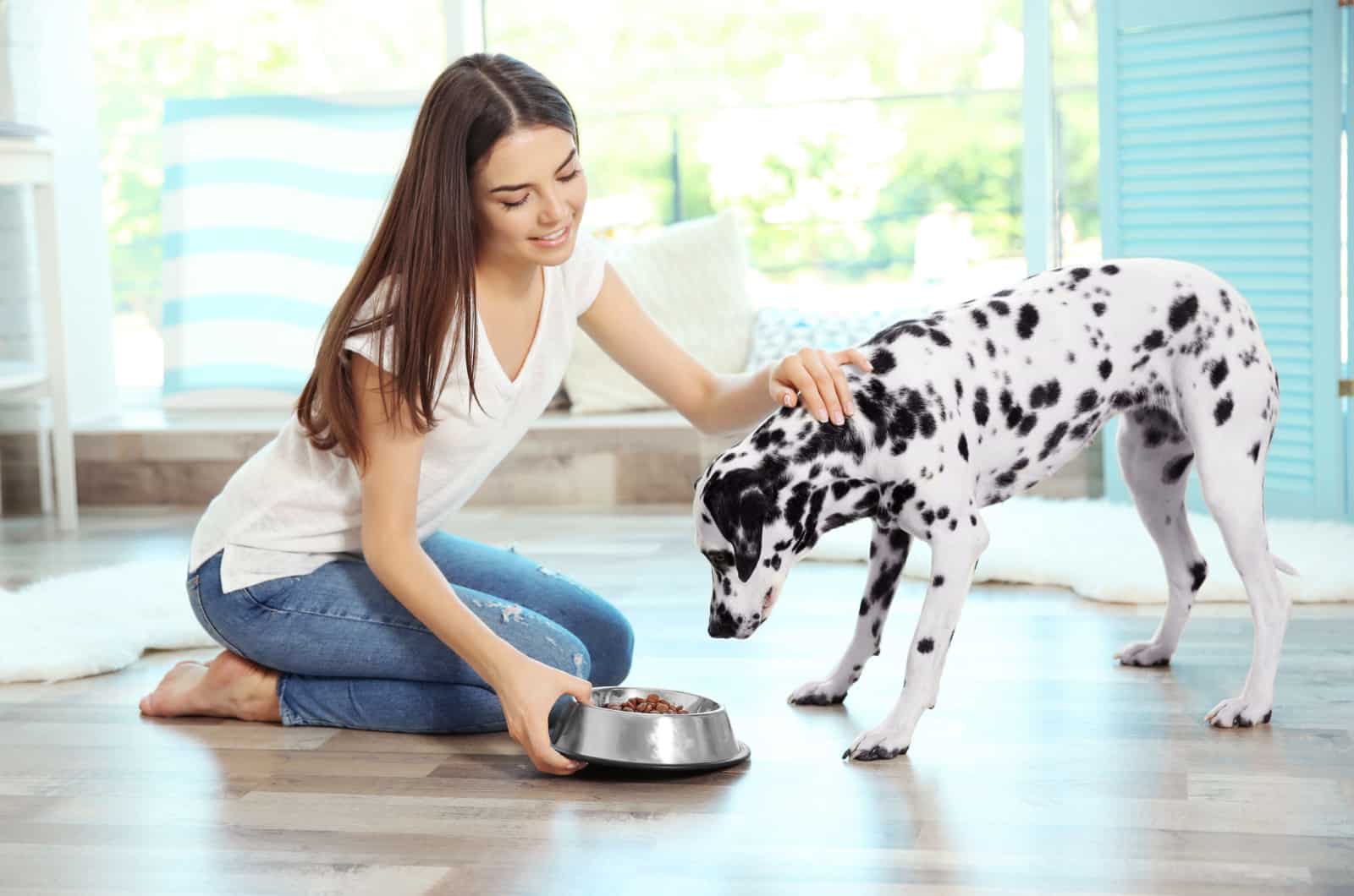 woman feeding her dalmatian