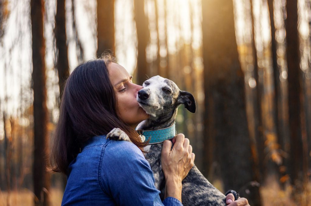 woman kissing her whippet