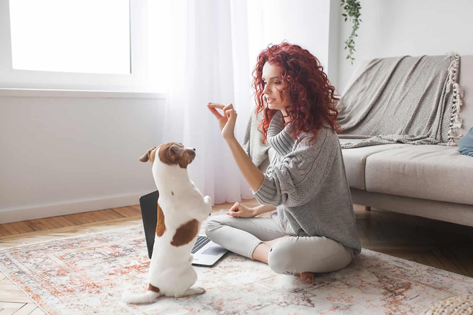 woman playing with her jack russell terrier dog while working remote
