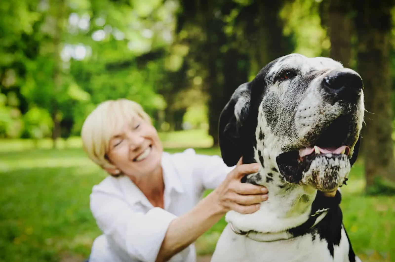 woman with her great dane dog