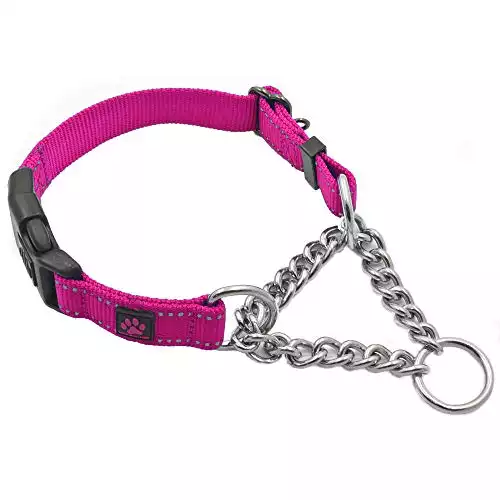 Max And Neo Stainless Steel Chain Martingale Collar