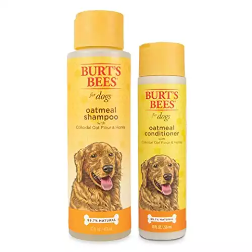 Burt's Bees Oatmeal Shampoo For Dogs