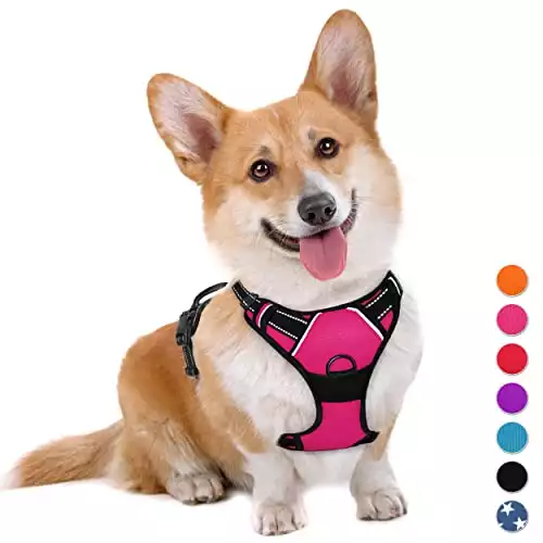 BARKBAY No Pull Dog Harness