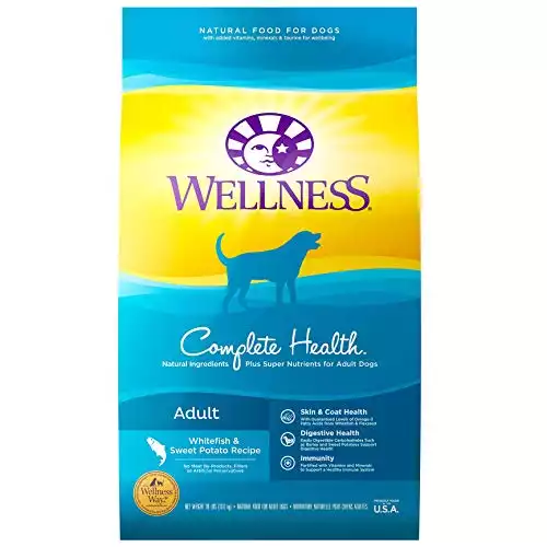 Wellness Complete Health Dry Dog Food