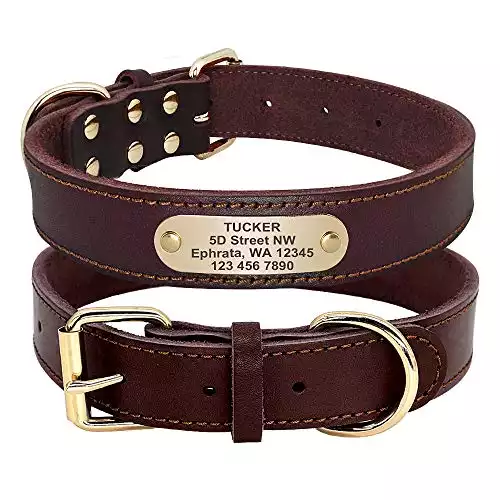 Beirui Genuine Leather Personalized Dog Collars With Nameplate ID Tags