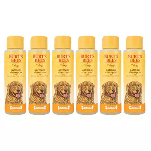 Burt's Bees for Dogs Natural Oatmeal Dog Shampoo With Colloidal Oat Flour & Honey
